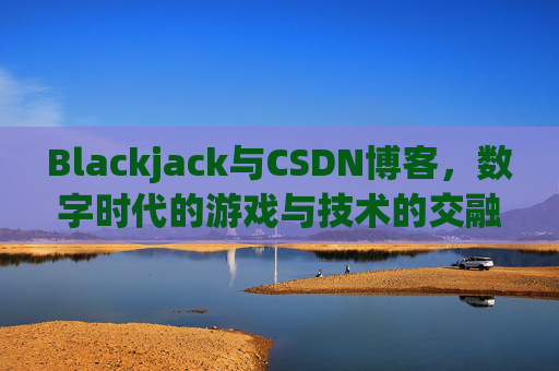 Blackjack与CSDN博客，数字时代的游戏与技术的交融